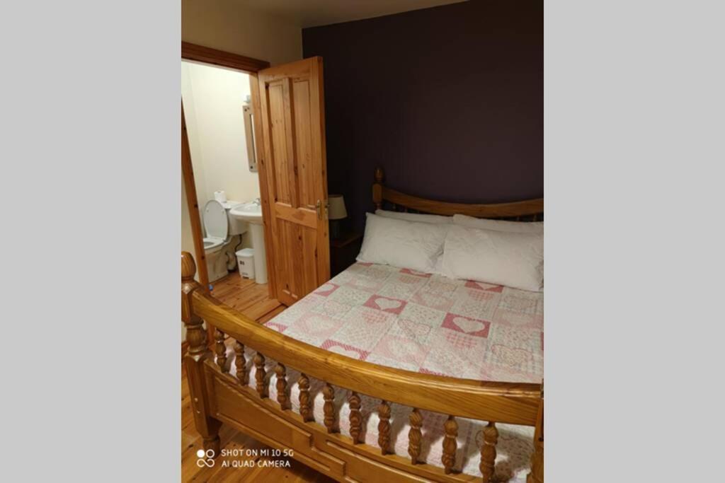 Townhouse 3 Barrow Lane Villa Bagenalstown Eksteriør bilde
