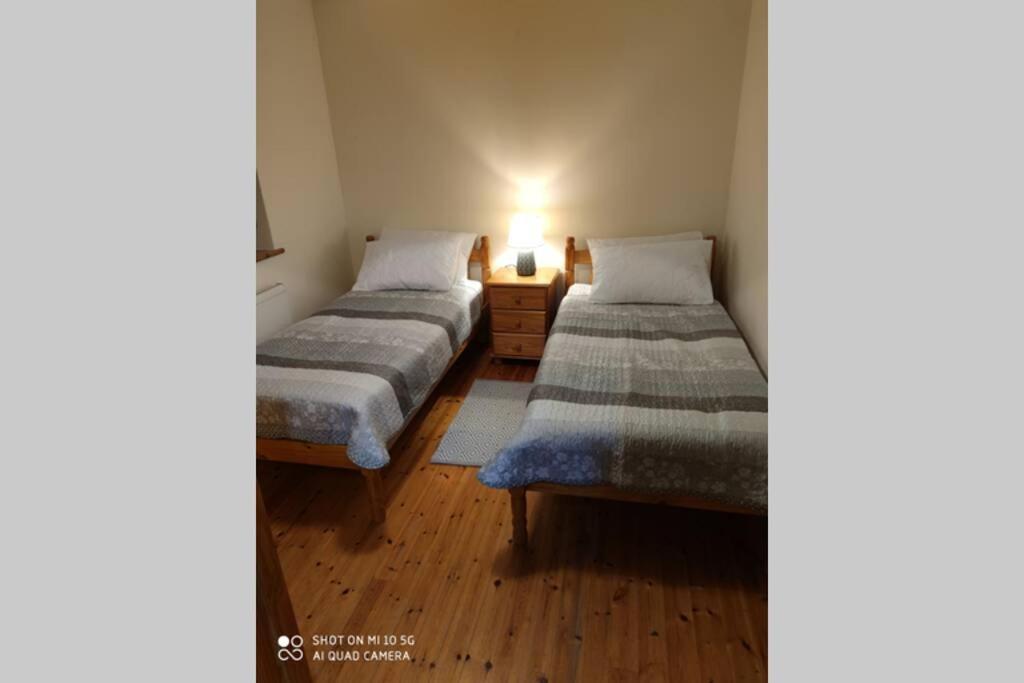 Townhouse 3 Barrow Lane Villa Bagenalstown Eksteriør bilde